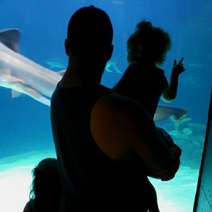 Meet your Posher, Tim